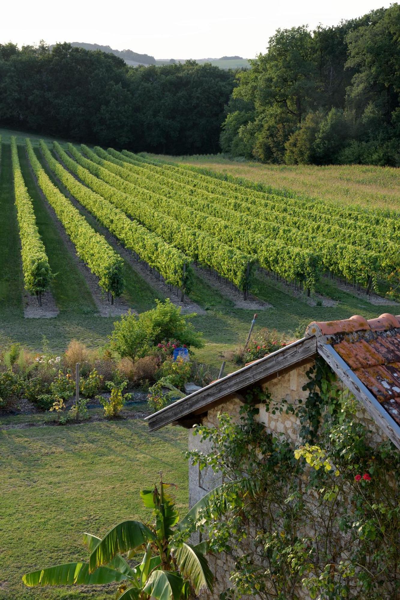 Domaine Chez Maurice Bed & Breakfast Becheresse ภายนอก รูปภาพ